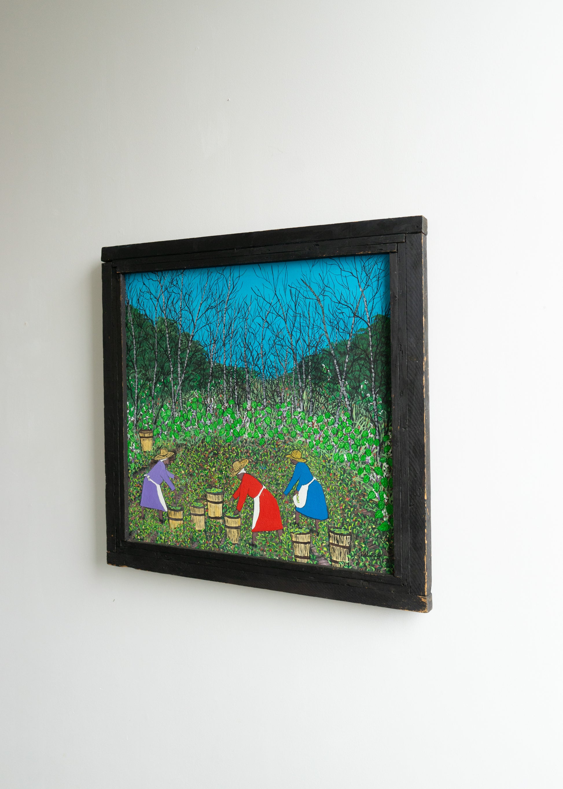 Gathering Butter Beans