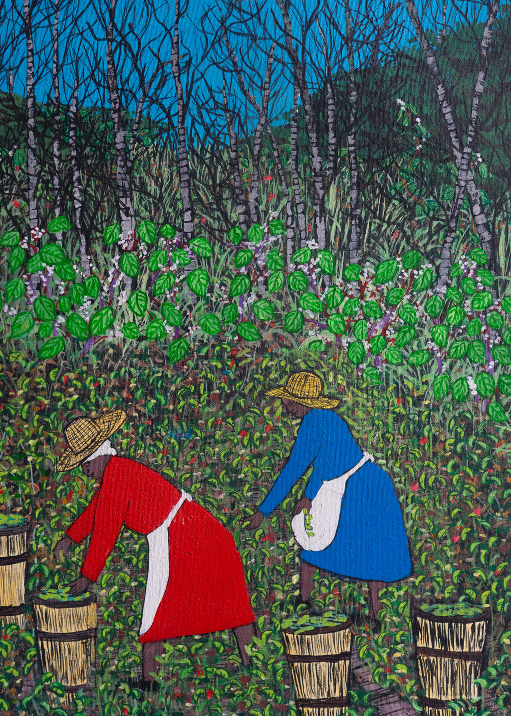 Gathering Butter Beans