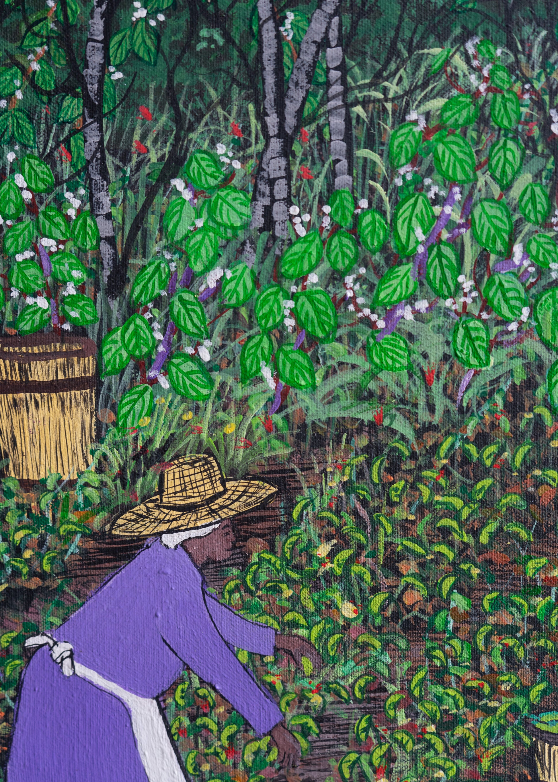 Gathering Butter Beans