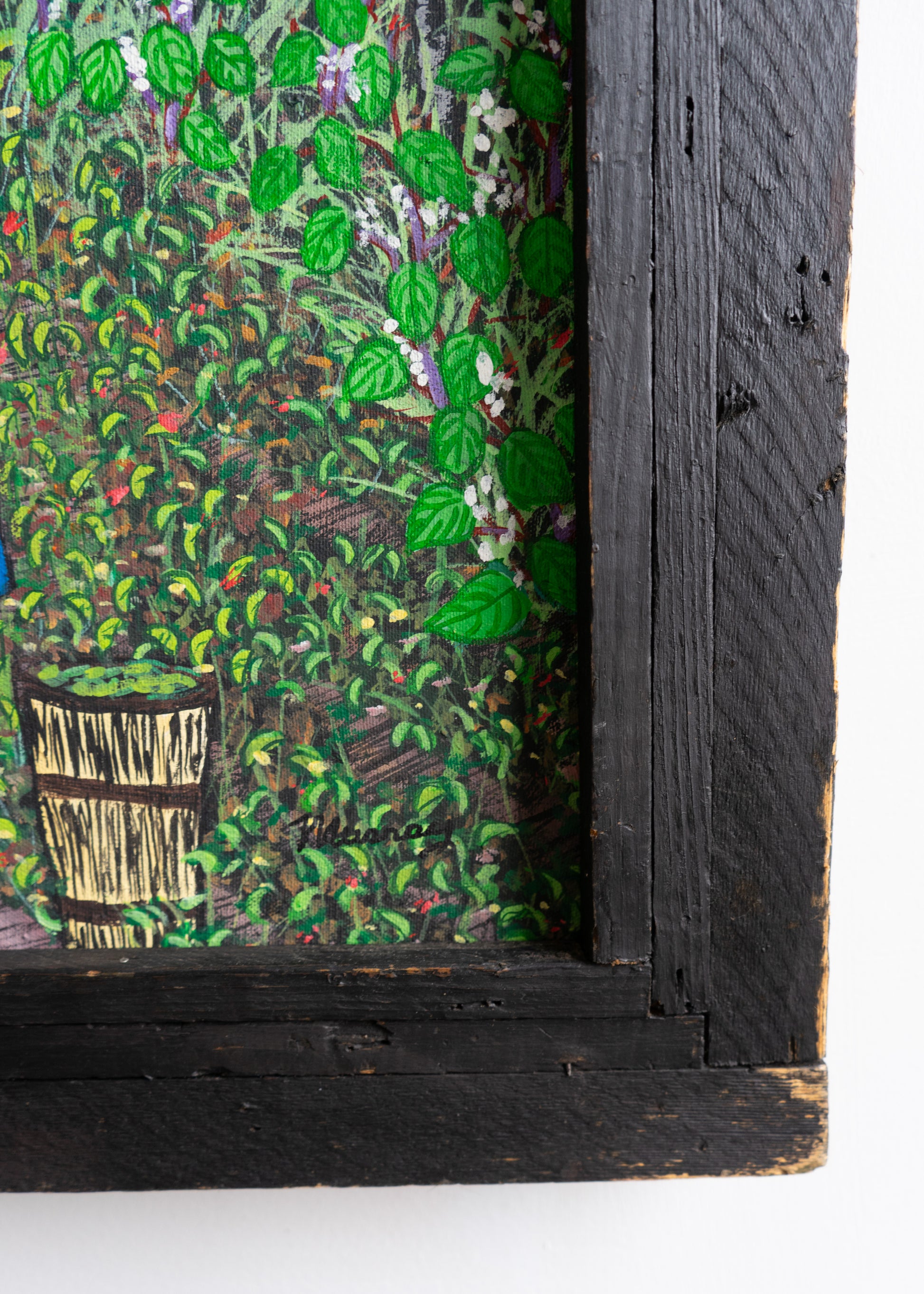 Gathering Butter Beans