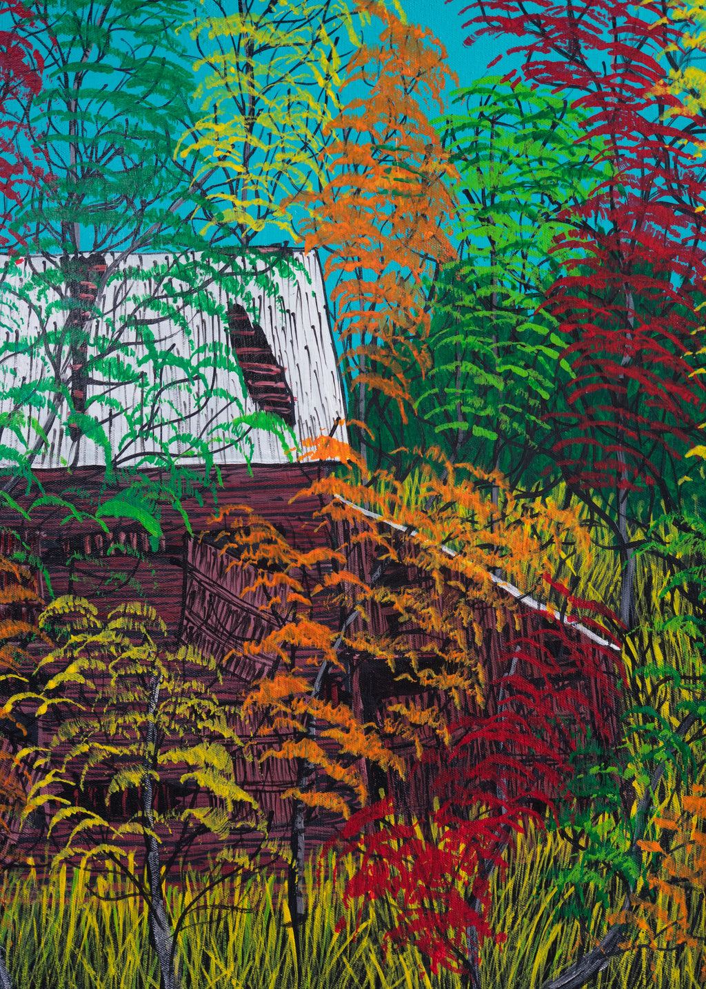 White Roof in the Fall