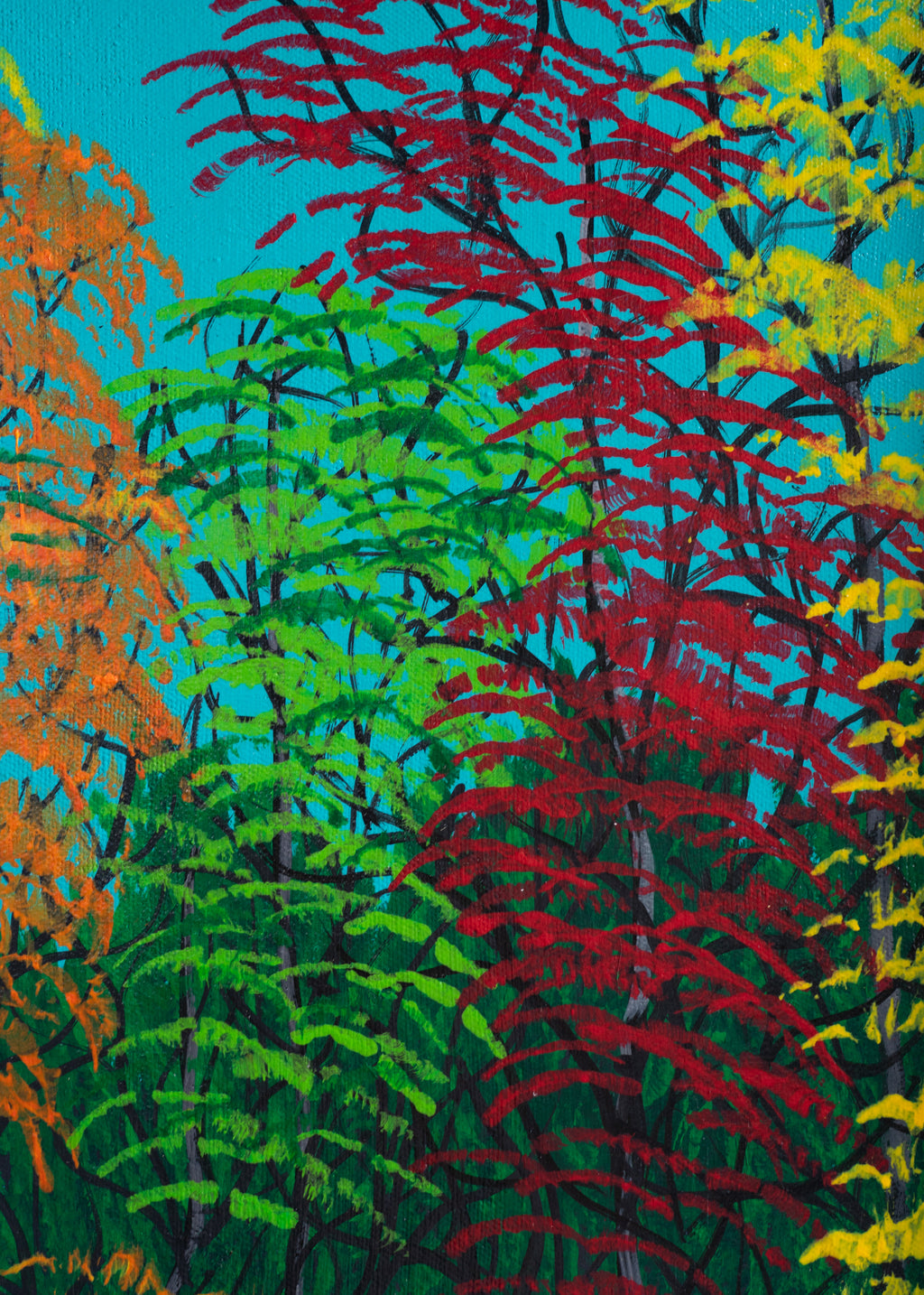 White Roof in the Fall