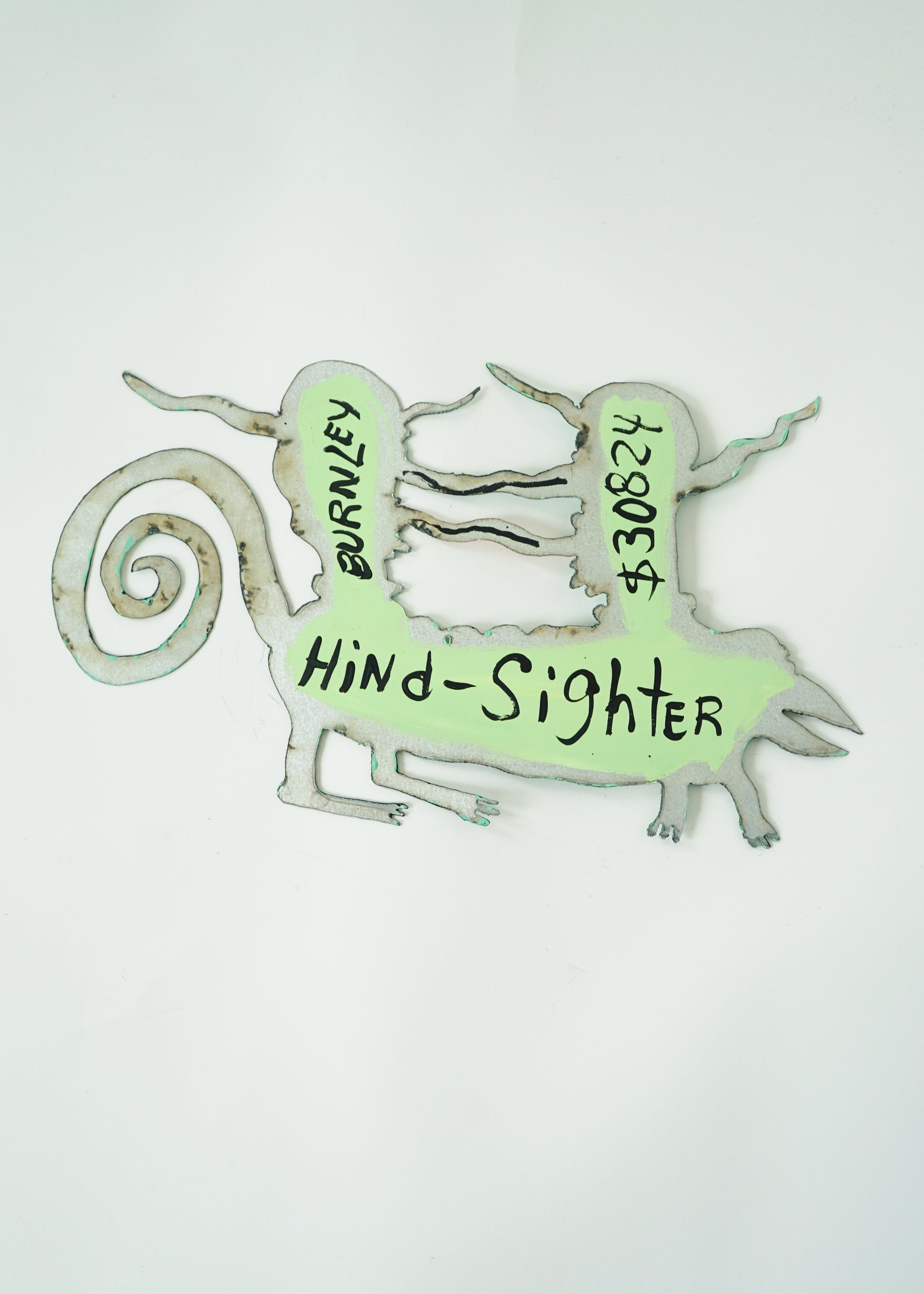 Hind-Sighter
